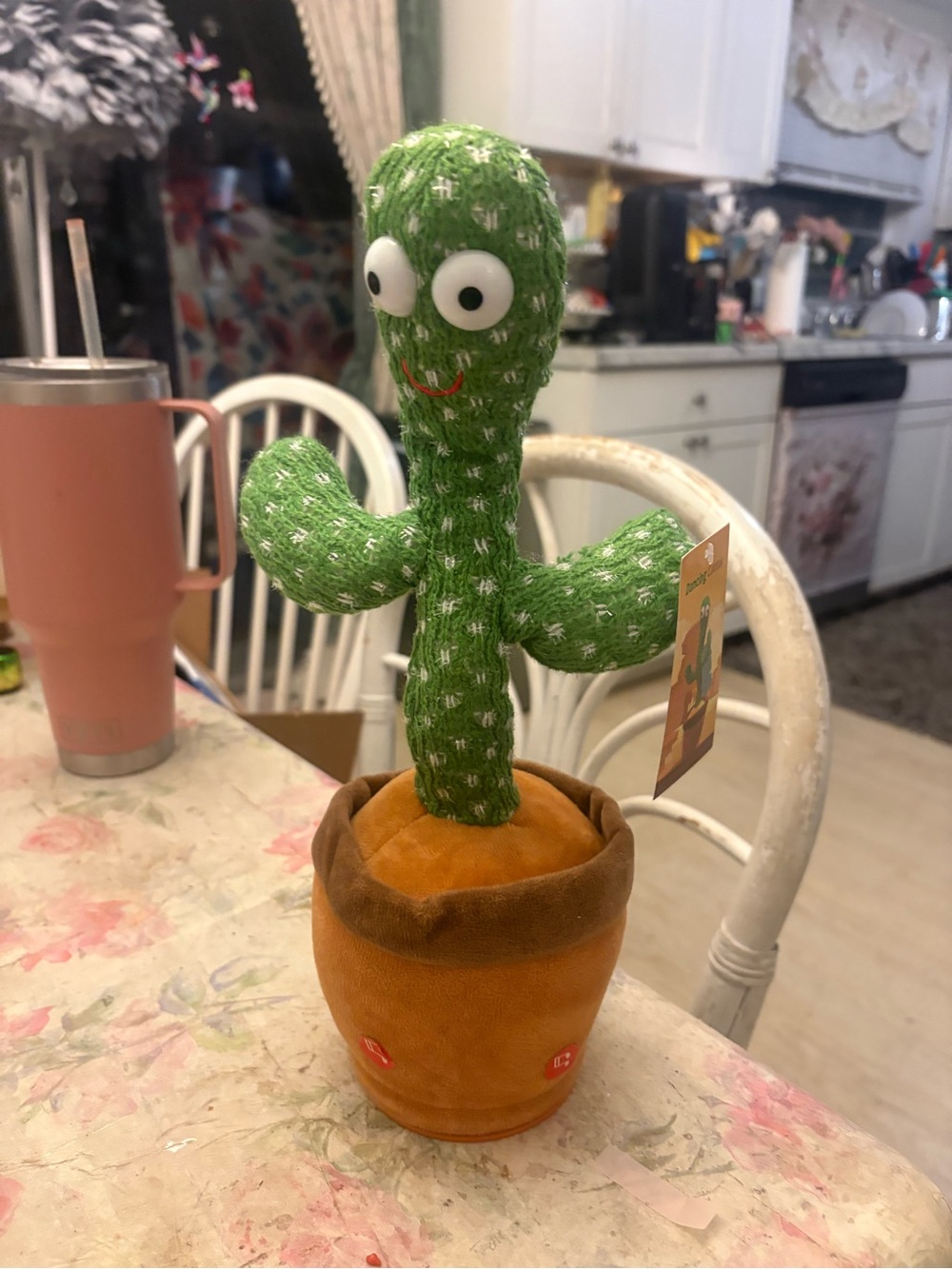 NWOT NYS Life Dancing Cactus Talking
Cactus Soft Plush Toy